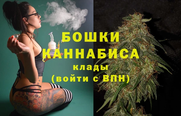 альфа пвп Гусиноозёрск