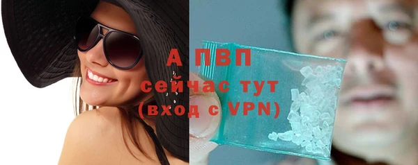 тгк Дмитров