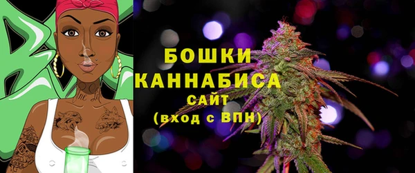 альфа пвп Гусиноозёрск
