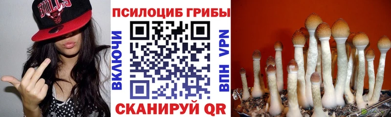 дарнет шоп  Озёрск  Псилоцибиновые грибы ЛСД 
